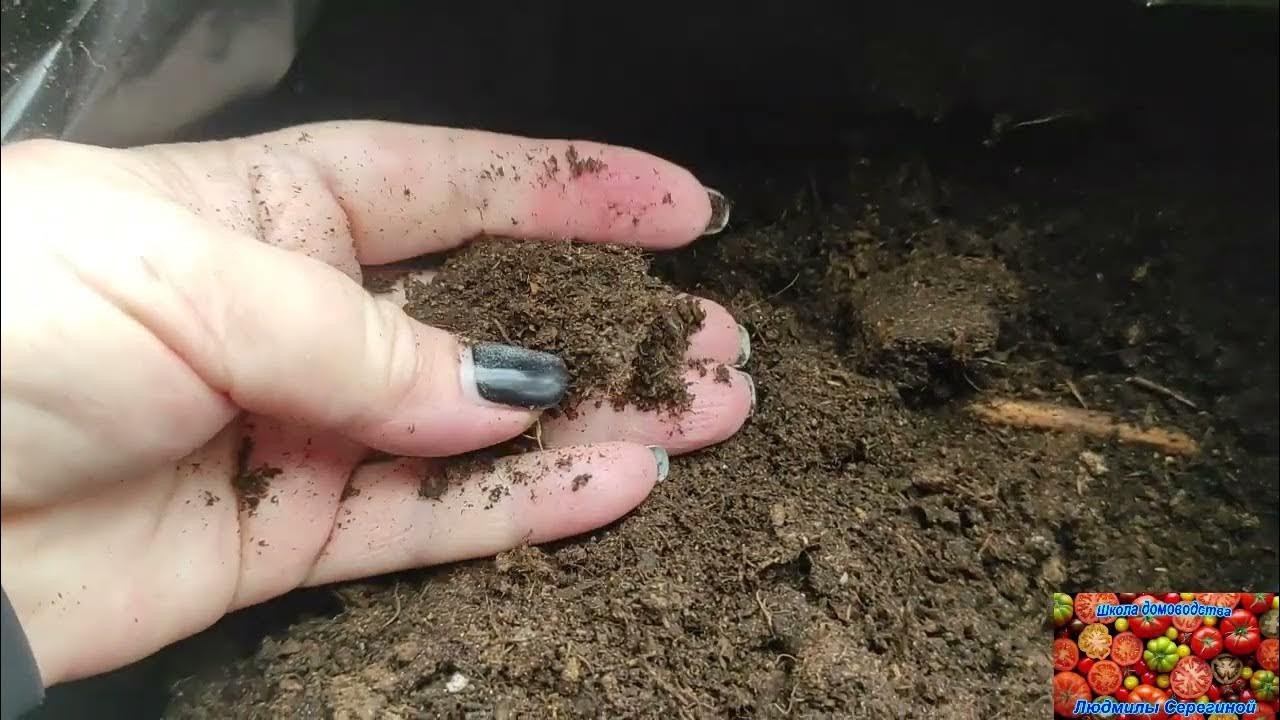 Грунт из Светофора ! Стоит ли покупать ? #светофор#грунтдлярассады# ...