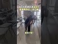 文化大學校警大戰孫悟空　靈猴闖教室上竄下跳 @ChinaTimes #shorts #猴子 #文大 #校園 #學生 #教室 #悟空 #調皮 #山道