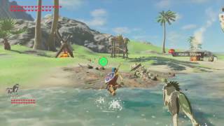 BotW Hateno Beach Side Quest