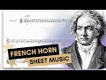 ⭐️ Ode to Joy • Beethoven | french horn sheet music