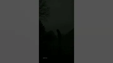 كنتى قوليلى انك ناويه ف يوم تسبينى 
