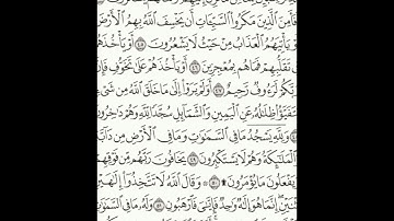 سورة النحل 43-54 (٢٧٢)     Sheikh Anas AlHibri