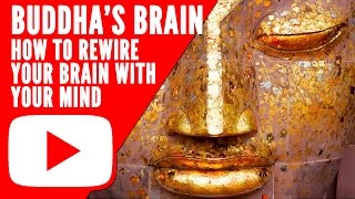 RICK HANSON (Buddha's Brain): How To Rewire Your Brain With Your Mind