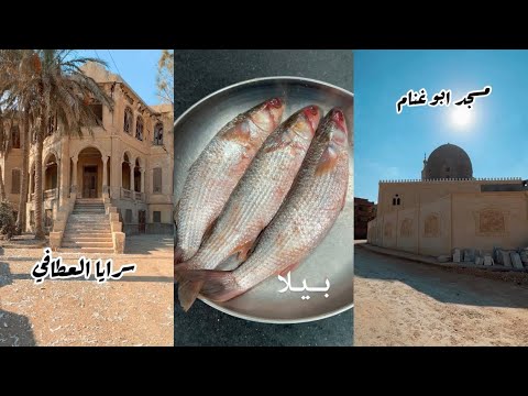 بيلا بلد الفسيح في محافظة كفر الشيخ
