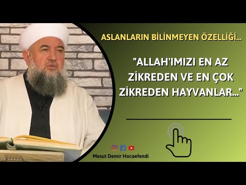 Allah'ımızı en az zikreden ve en çok zikreden hayvanlar...