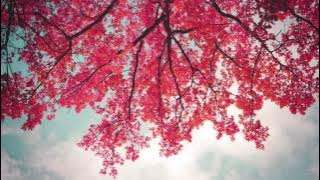 Beautiful Love Piano Ballad Instrumental   With You