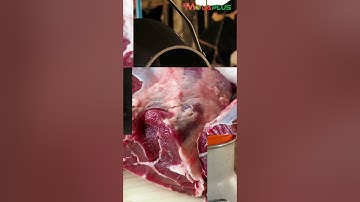 Why You Must Prioritize Rumen Development At The Early Stages of Your Calf