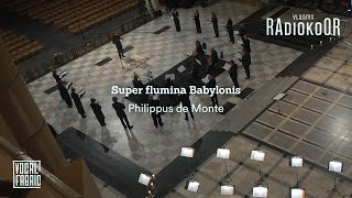 Philippus de Monte: Super flumina Babylonis LIVE