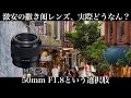 撒き餌レンズをプロカメラマンがレビューする。【FE 50mm F1.8】