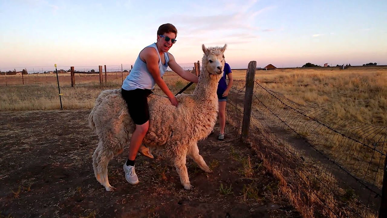 iTech224 Windows Phone Test