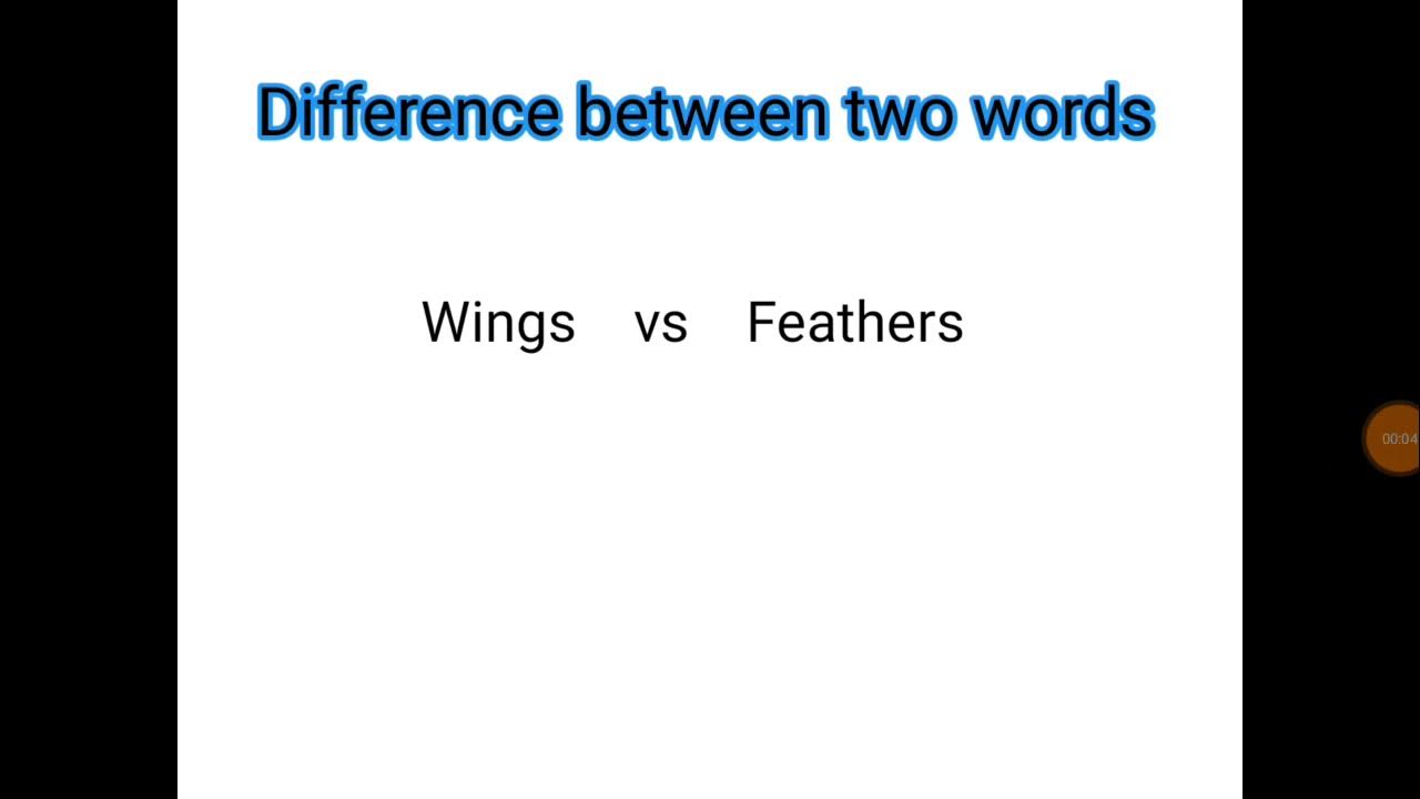  Difference between wings and feathers Learn in Urdu AR ENGLISH