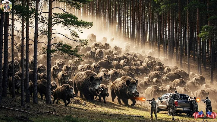 Hundreds of Wild Boars Storm the Farm | Farmers and Hunters Fight Back - Epic Battle at Farm