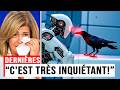 L’IA a enfin compris les CORBEAUX — leurs messages sur l’HUMANITÉ vont vous stupéfier