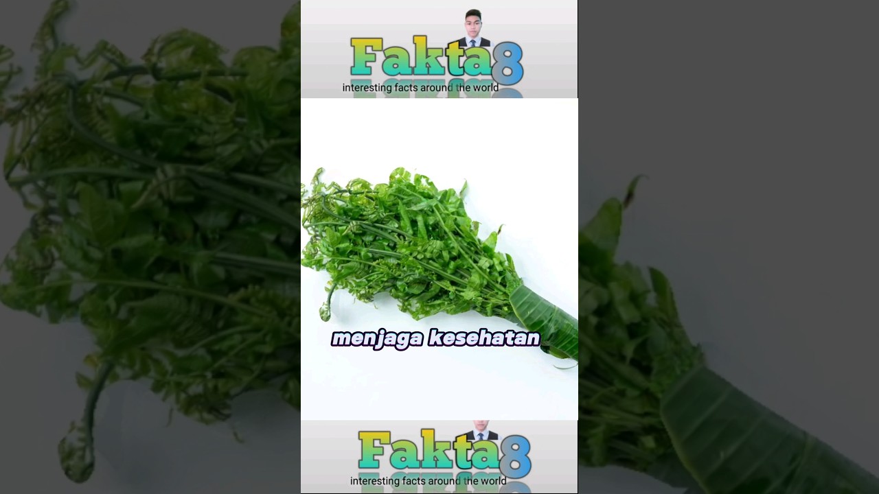 manfaat daun pakis yang luar biasa