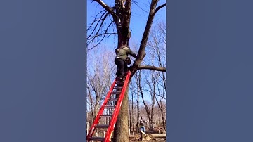 Funniest fail videos - funny fail videos - funny girls fails - Part 64