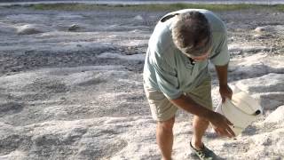 Glen Kuban explains dinosaur footprints