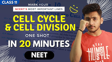 Cell Cycle and Cell Division Class 11 | Biology | For NEET | Full Revision In 20 Minutes