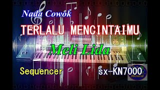 Meli Lida - Terlalu Mencintaimu Nada Cowok Karaoke sx-KN7000