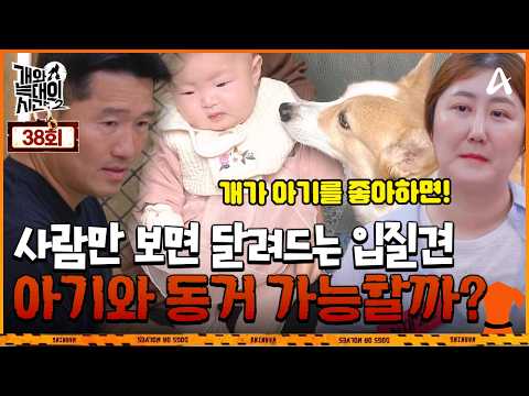 [Variety] Time of Dog and Wolf 2 Ep. 38 _ 10/14/26 _ The Dog Steals Things