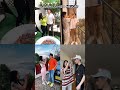 Who is Your Best😋 tik tok meme reaction 🤩 Pinned Your Comment 📌 #abcd #reaction #shorts #ytshorts