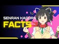 11 random senran kagura facts 