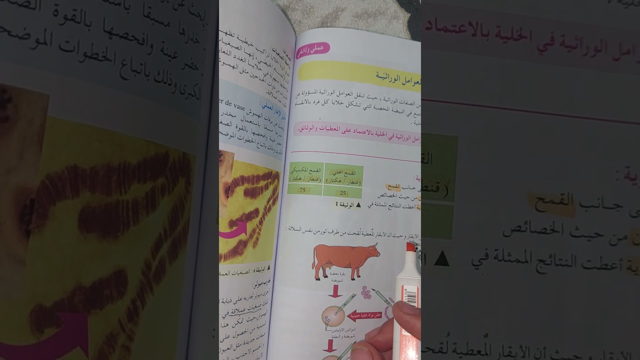 مقر المعلومات الوراثية سنة أولى ثانوي علوم تجريبية