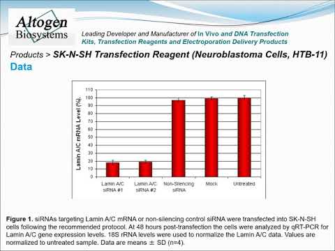 Altogen Biosystems SK-N-SH Transfection Reagent
