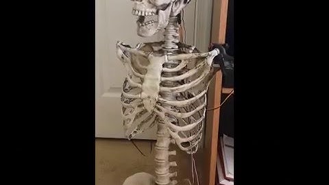 2 Axis Skull Project - Jaw Test