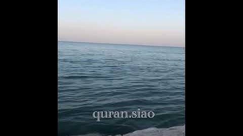 (إِنَّ اللَّهَ وَمَلَائِكَتَهُ يُصَلُّونَ عَلَى النَّبِيِّ ۚ ) القارئ محمد البارقي