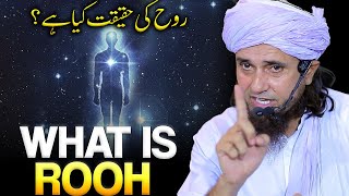 What is Rooh ? | Rooh Ki Haqeeqat Kya Hai? | Mufti Tariq Masood