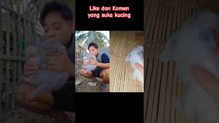 #collab #duet #cat #drama #comedy