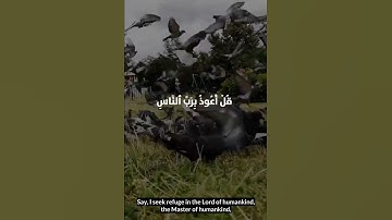Surah An-Nas - سوره الناس English Translation / Piece of Peace