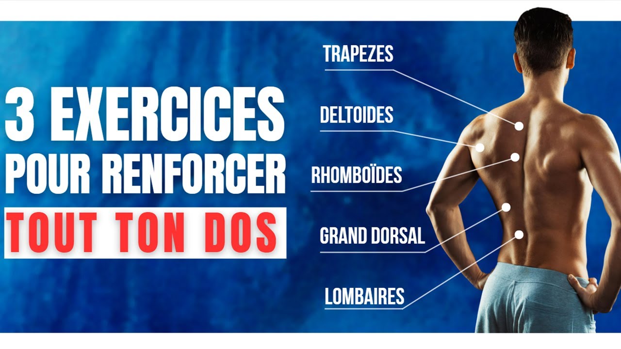 Comment renforcer TOUT son dos...quand on a mal au dos ?