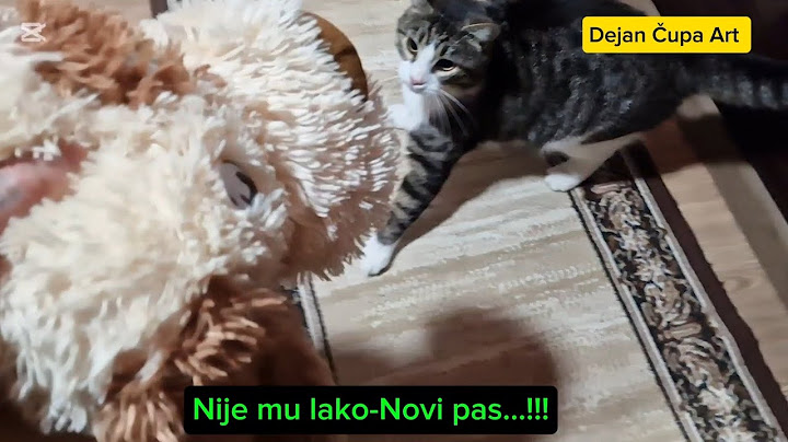 Ušli smo u novi stan a tu iznenađenje za njega.!!!!        Dejan Čupa Art      -April-2024