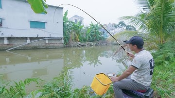 Câu Cá Ký Sự - Tín Hiệu Phao Cá Diếc Khủng, Cá Rô Phi Mùa Đông