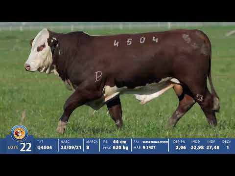 LOTE 22 BRAFORD Q4504