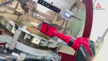 Ace Robotics: Robotic Arm Automation for Manufacturing and Assembly
