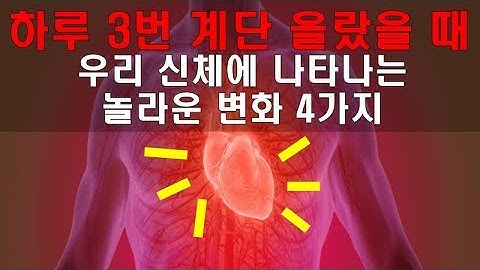 하루 3번 계단 오르기 운동 효과 4가지