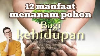 12 Manfaat menanam pohon bagi kehidupan