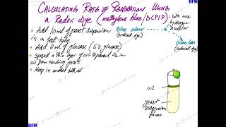 Using Redox Dye for Calculating Rate of Respiration