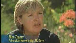 UC Davis Newswatch: Wildlife Garden