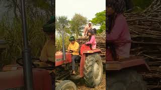 Tractor Chaliya Reshma