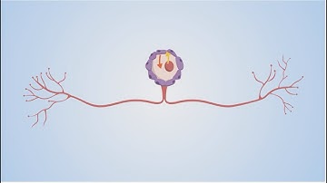 How can we repair damaged axons?