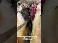 Could You Handle This Being Your Foot This Cows Hoof Is Now MUCH Better Could You Handle This Being Your Foot This Cows Hoof Is Now MUCH Better