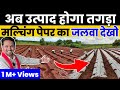 Bed Preparation For Planting | फसल के लिए बेड बनाने का जुगाड़ | Plantation | Indian Farmer