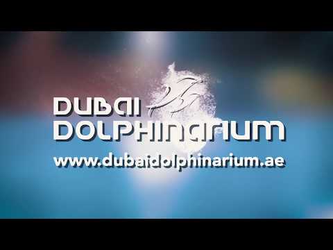 Friday Blast @ Dubai Dolphinarium