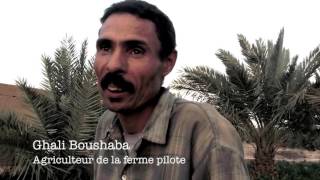 Oasis Jorf Maroc - Ferme pilote en agroecologie