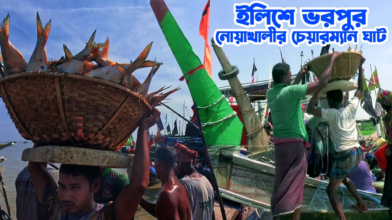 শত শত মণ ইলিশের প্রাণকেন্দ্র নোয়াখালীর হাতিয়ার চেয়ারম্যান ঘাট || Panorama Documentary