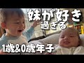 【年子】妹が好き過ぎる１歳児