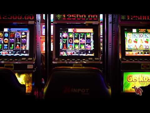 Night Wolf - Hold & Hit | Goldaur Guardians Slot Real Money Game Experience - Zodiac Casino Review (Jul 27, 2023)